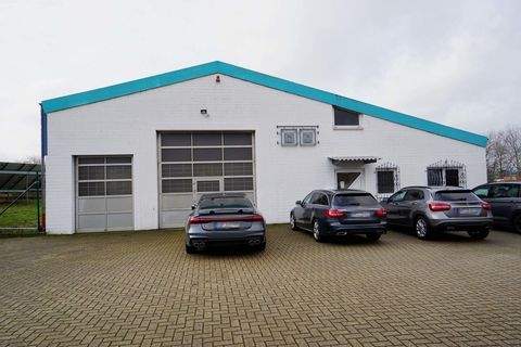 Homberg (Efze) Halle, Homberg (Efze) Hallenfläche