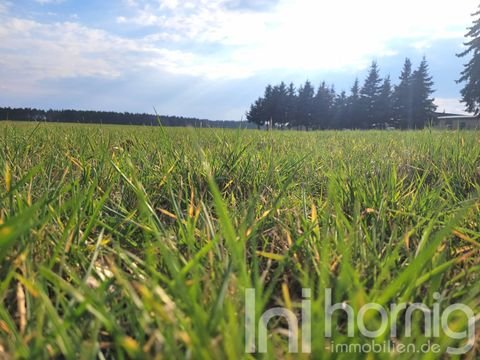 Hähnichen Grundstücke, Hähnichen Grundstück kaufen