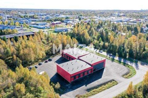 Tornio Halle, Tornio Hallenfläche