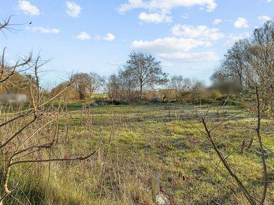 Blick aufs Grundstück