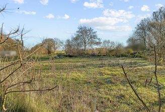 Blick aufs Grundstück