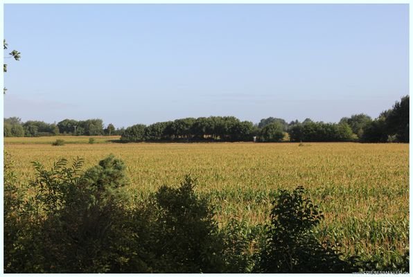 Ausblick Nord