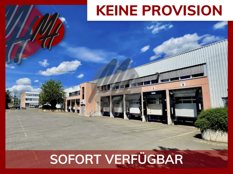 Leimen Halle, Leimen Hallenfläche