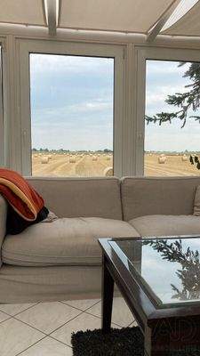 Blick aus dem Wintergarten