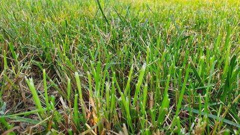 Eging am See Grundstücke, Eging am See Grundstück kaufen