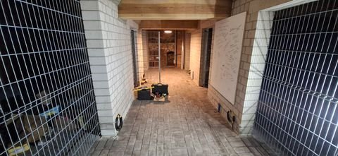 Stralsund Renditeobjekte, Mehrfamilienhäuser, Geschäftshäuser, Kapitalanlage