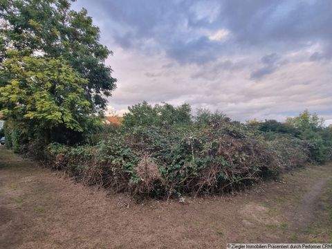 Mannheim Grundstücke, Mannheim Grundstück kaufen