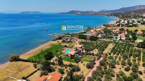 ????? Häuser, ????? Haus kaufen