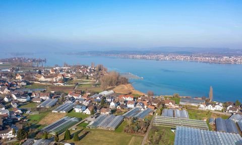 Insel Reichenau Häuser, Insel Reichenau Haus kaufen