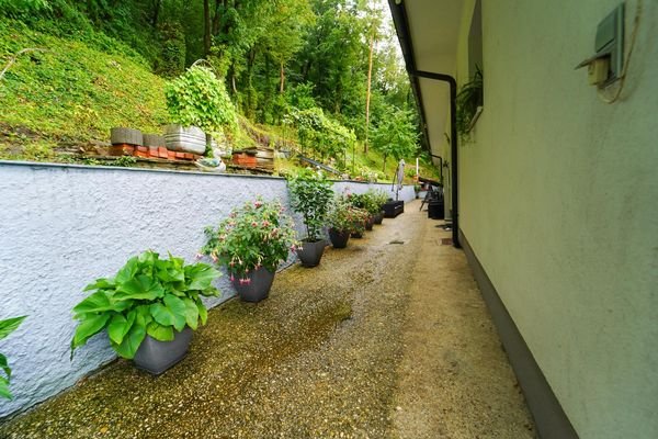 DSC02684