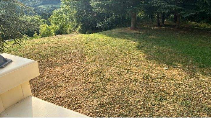 vorgesehene Fläche für Pool.jpg