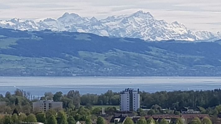 Wohnen am Bodensee (GEIL)