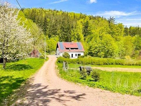 Altenberg Häuser, Altenberg Haus kaufen