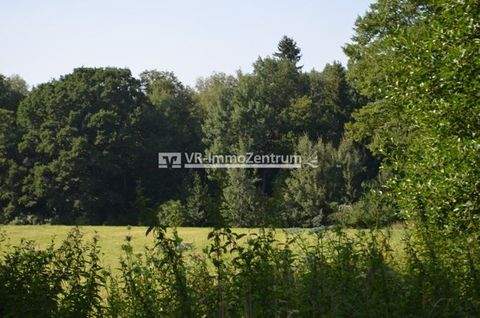 Dettenschwang Bauernhöfe, Landwirtschaft, Dettenschwang Forstwirtschaft