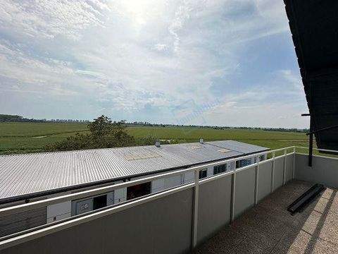 Pfungstadt Wohnungen, Pfungstadt Wohnung mieten