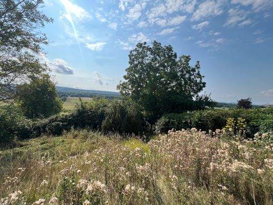 Blick auf Grundstück