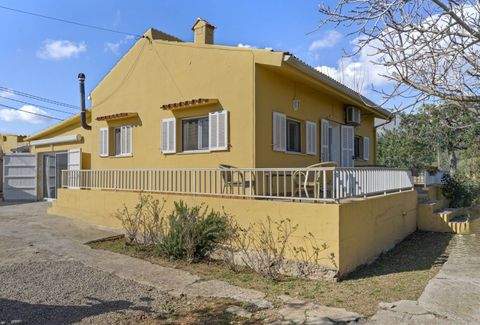 Selva Häuser, Selva Haus kaufen