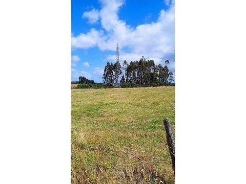 Ancud Büros, Büroräume, Büroflächen 