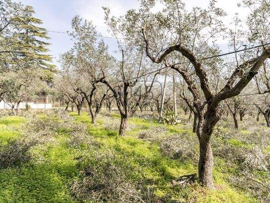 Freistehende Villa an der Ionischen Riviera Kalabriens in Villapiana - Italien