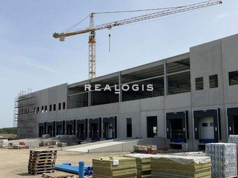 Holzgerlingen Halle, Holzgerlingen Hallenfläche