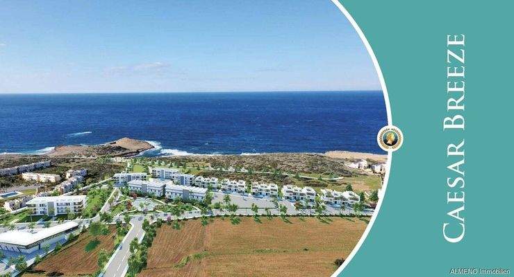 Caesar Projects Catalogue 2024_Seite_31