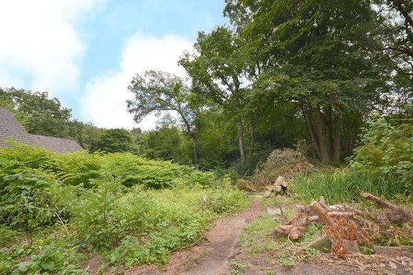 Die Nachbarschaft wird von Natur und schönen Einzelhäusern dominiert