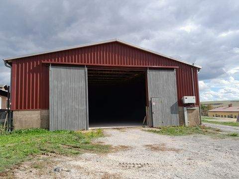 Eisleben Halle, Eisleben Hallenfläche