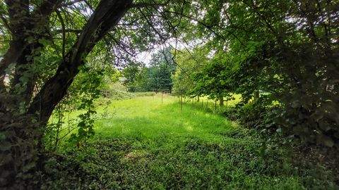 Windeck / Geilhausen Grundstücke, Windeck / Geilhausen Grundstück kaufen