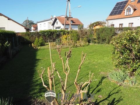 Zeiselmauer Häuser, Zeiselmauer Haus kaufen