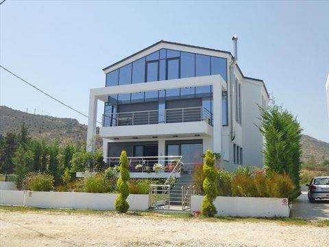 Pilion Häuser, Pilion Haus kaufen