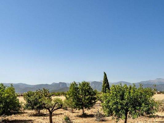 country-estate-for-sale-Sencelles-Living-Blue-Mallorca (21)