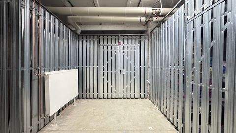 Berlin Halle, Berlin Hallenfläche