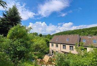Ausblick vom Garten in den Wienerwald
