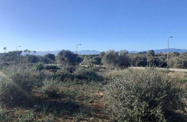 BHHS-BAL-1087_1_3_BHHS-BAL-0723_1_5_Terreno con proyecto para villa con piscina en venta en Son Gual, Palma, Mallorca)