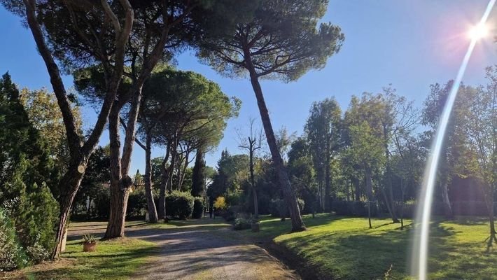 49_ApartmentinPark.jpg