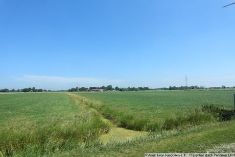 Elsfleth Bauernhöfe, Landwirtschaft, Elsfleth Forstwirtschaft