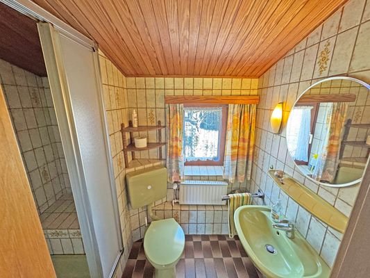Duschbad Anbau