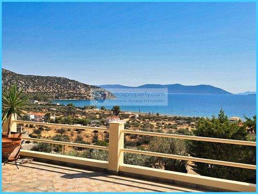 9b77e128a287488bb568395f3856f432-original