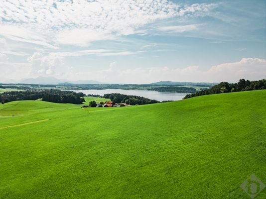 Direkt am Grünland