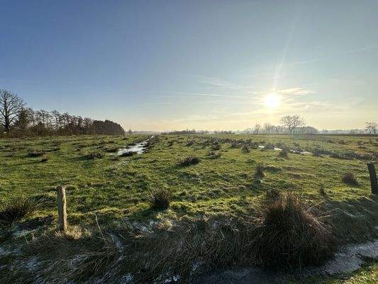 2026-01-22_15-12-09_766