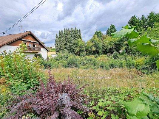 Grundstück rechts.jpg