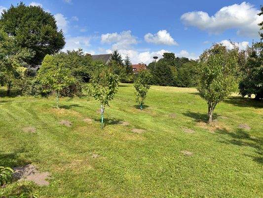 Garten mit Obstbäumen