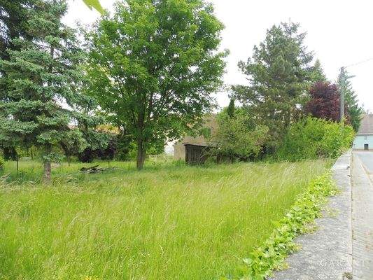 08 Südseite Grundstück