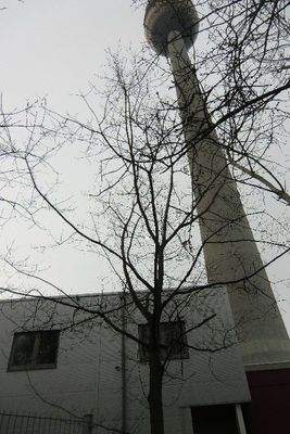 Außenansicht Fernsehturm
