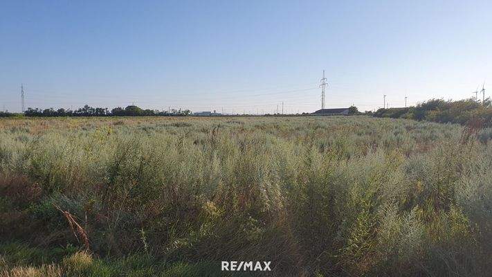 4. Landwirtschaftlicher Grund