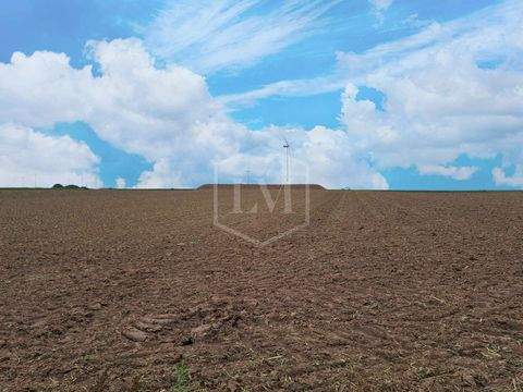 Jülich Bauernhöfe, Landwirtschaft, Jülich Forstwirtschaft
