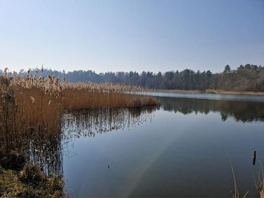 Bild 21