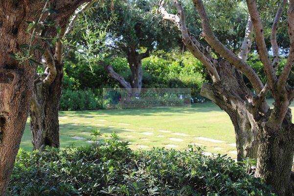 2022-10-13_08-23-19_904481