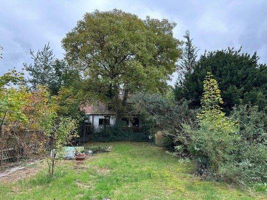 GROSSER GARTEN MIT BLICK ZUM HAUS