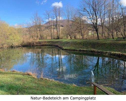 Natur-Badeteich in der Anlagee